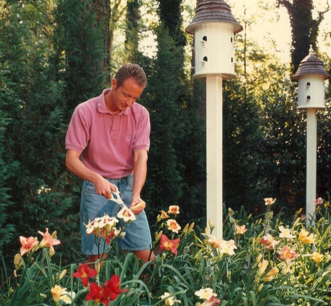 Birds butterflies hummingbirds daylilies